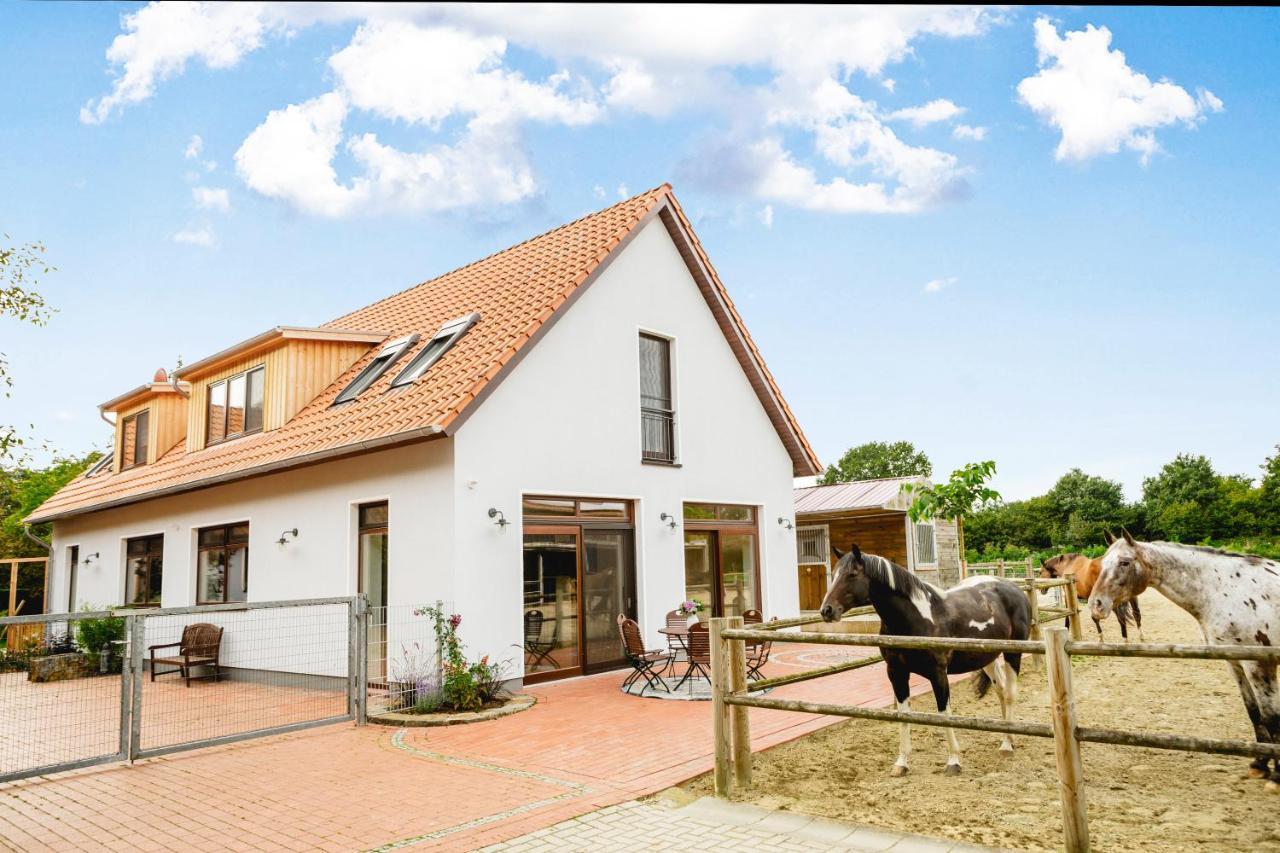 Gaestehaus Am Forstgarten Quakenbrück Buitenkant foto